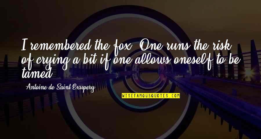 M J Fox Quotes By Antoine De Saint-Exupery: I remembered the fox. One runs the risk