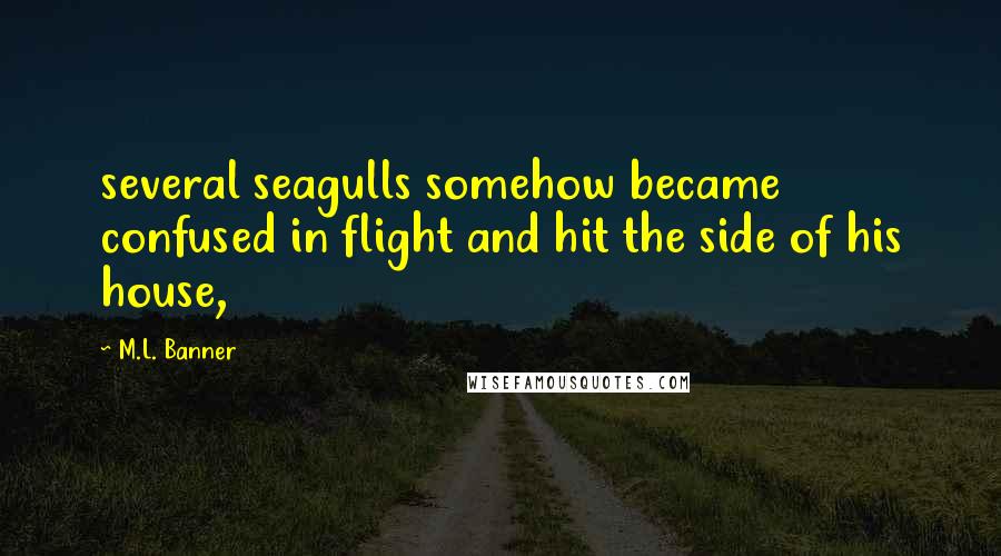 M.L. Banner quotes: several seagulls somehow became confused in flight and hit the side of his house, M.L. Banner quotes: several seagulls somehow became confused in flight and hit the side of his house,