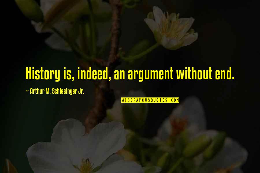 M.l.k Jr Quotes By Arthur M. Schlesinger Jr.: History is, indeed, an argument without end.