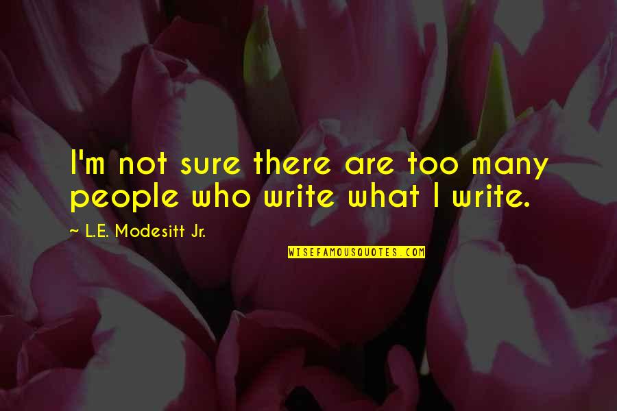 M.l.k Jr Quotes By L.E. Modesitt Jr.: I'm not sure there are too many people M.l.k Jr Quotes By L.E. Modesitt Jr.: I'm not sure there are too many people