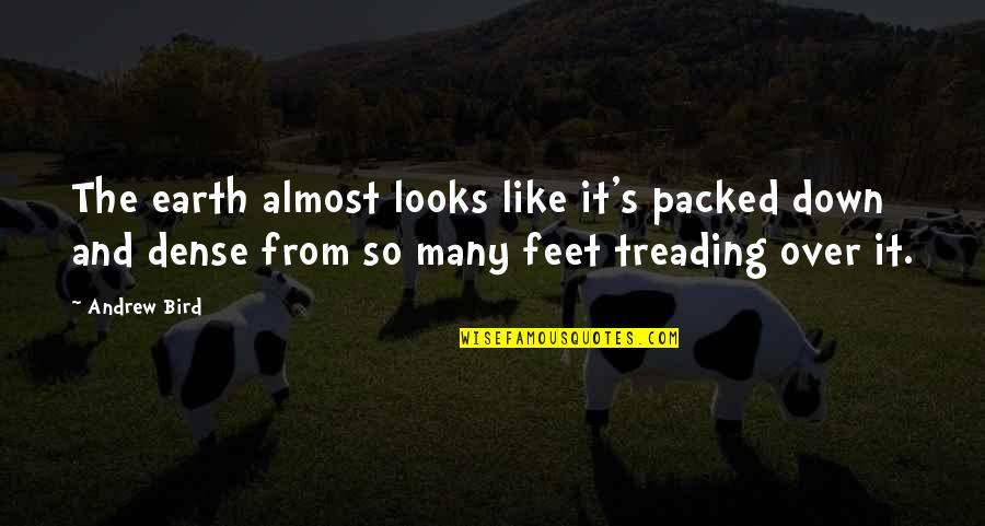 M Llemann Quotes By Andrew Bird: The earth almost looks like it's packed down