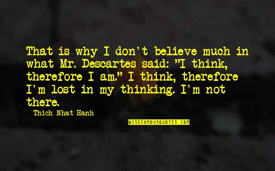 M Lost Quotes By Thich Nhat Hanh: That is why I don't believe much in M Lost Quotes By Thich Nhat Hanh: That is why I don't believe much in