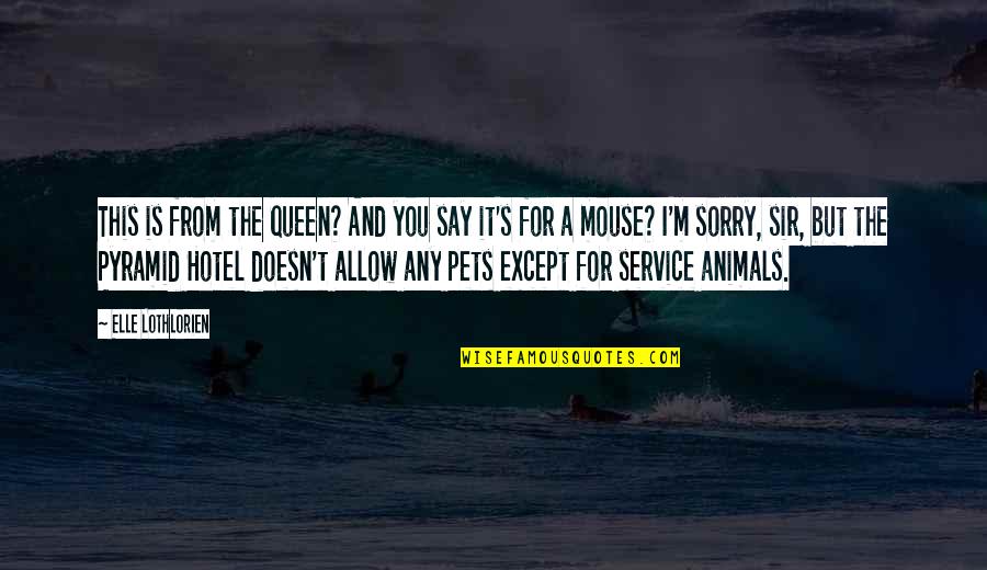 M Queen Quotes By Elle Lothlorien: This is from the queen? And you say M Queen Quotes By Elle Lothlorien: This is from the queen? And you say