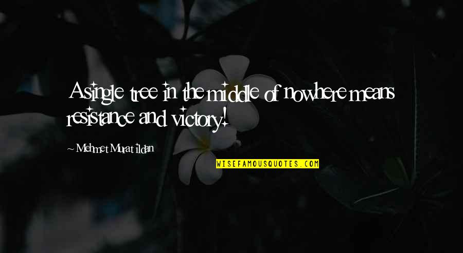 M S Quote Quotes By Mehmet Murat Ildan: A single tree in the middle of nowhere M S Quote Quotes By Mehmet Murat Ildan: A single tree in the middle of nowhere