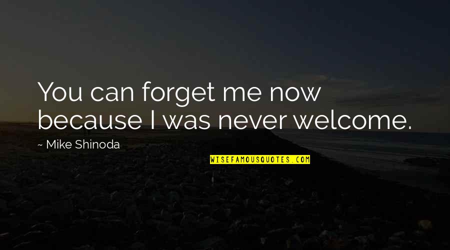 M Shinoda Quotes By Mike Shinoda: You can forget me now because I was M Shinoda Quotes By Mike Shinoda: You can forget me now because I was