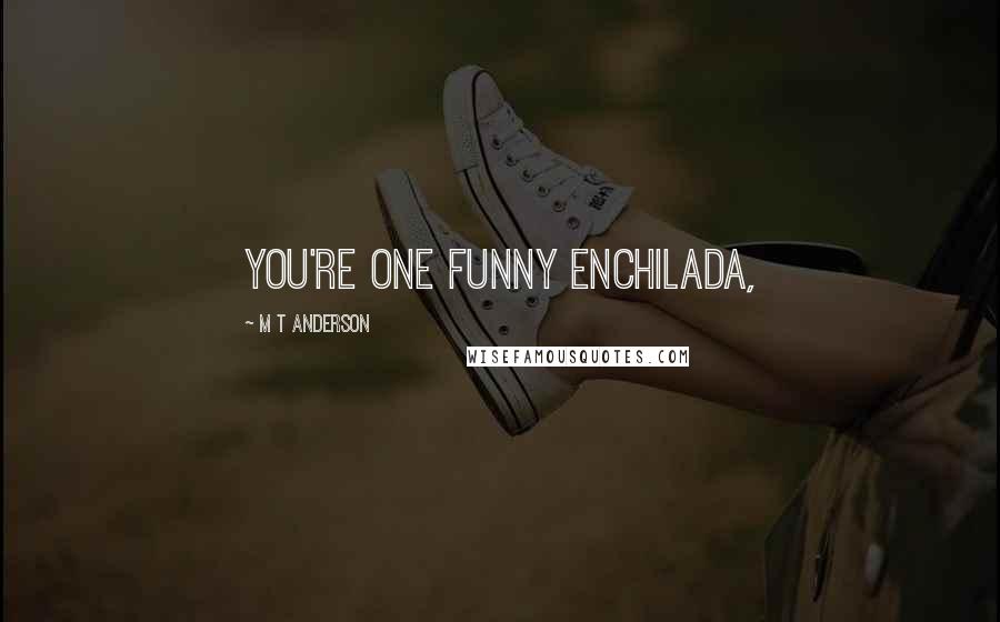 M T Anderson quotes: You're one funny enchilada,