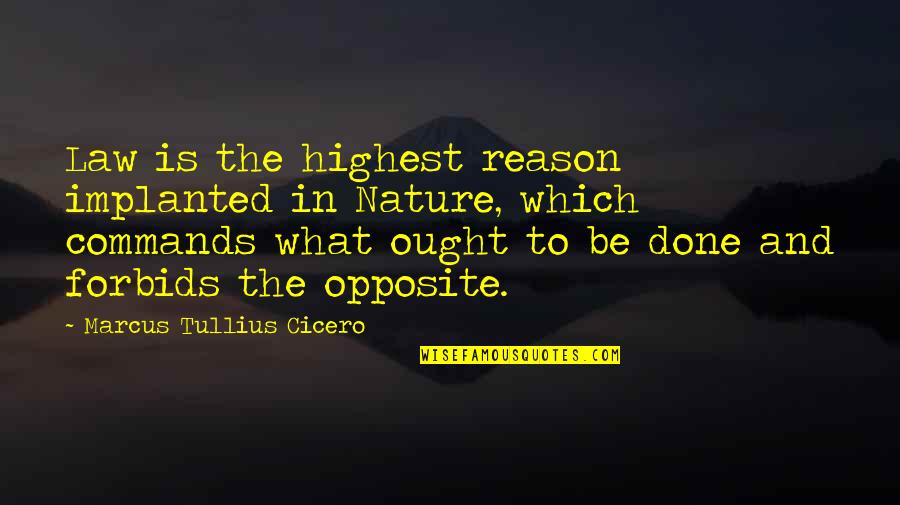 M T Cicero Quotes By Marcus Tullius Cicero: Law is the highest reason implanted in Nature, M T Cicero Quotes By Marcus Tullius Cicero: Law is the highest reason implanted in Nature,