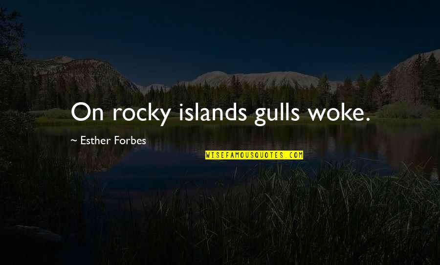 M T Ffy Bendeg Z Quotes By Esther Forbes: On rocky islands gulls woke.