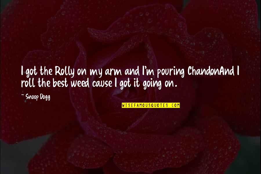 M The Best Quotes By Snoop Dogg: I got the Rolly on my arm and