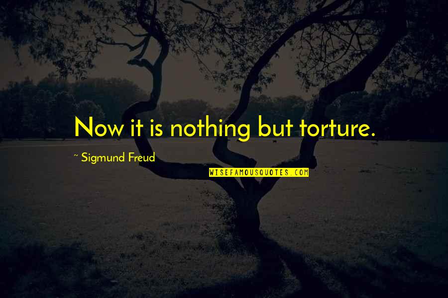 M0re Quotes By Sigmund Freud: Now it is nothing but torture.