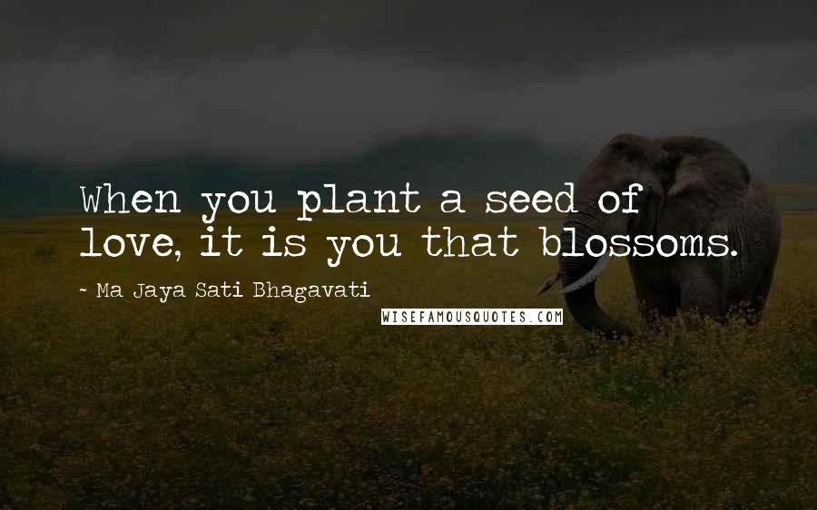 Ma Jaya Sati Bhagavati quotes: When you plant a seed of love, it is you that blossoms.