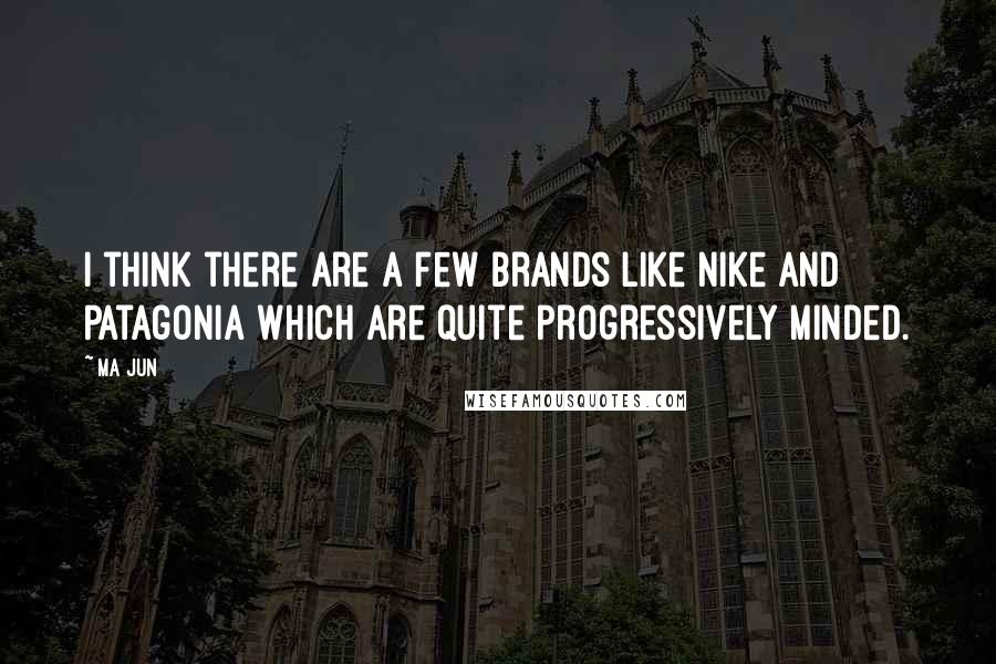 Ma Jun quotes: I think there are a few brands like Nike and Patagonia which are quite progressively minded.