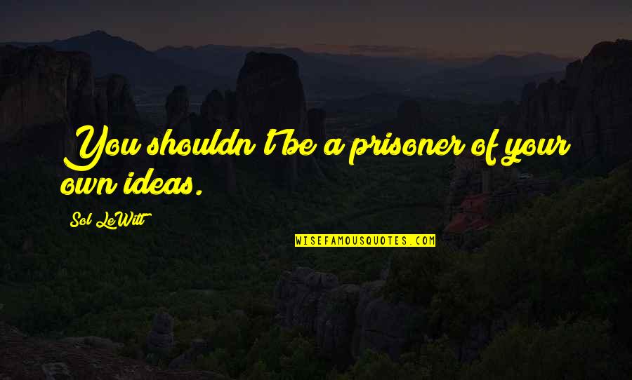 Ma Sarada Quotes By Sol LeWitt: You shouldn't be a prisoner of your own