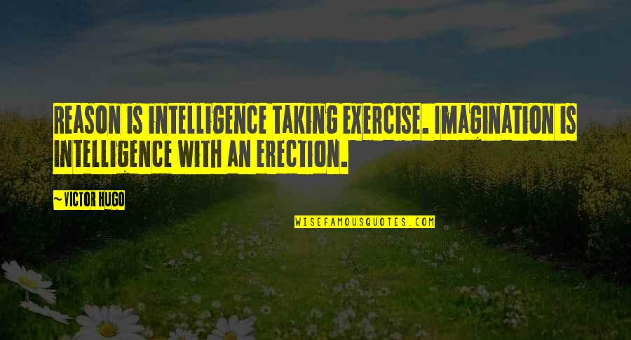 Maa Annapurna Quotes By Victor Hugo: Reason is intelligence taking exercise. Imagination is intelligence