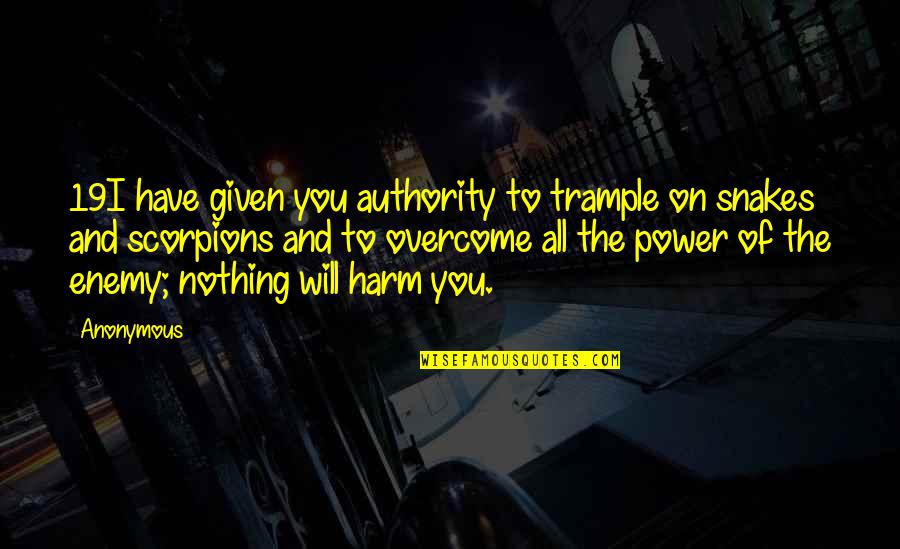 Maa Karni Quotes By Anonymous: 19I have given you authority to trample on