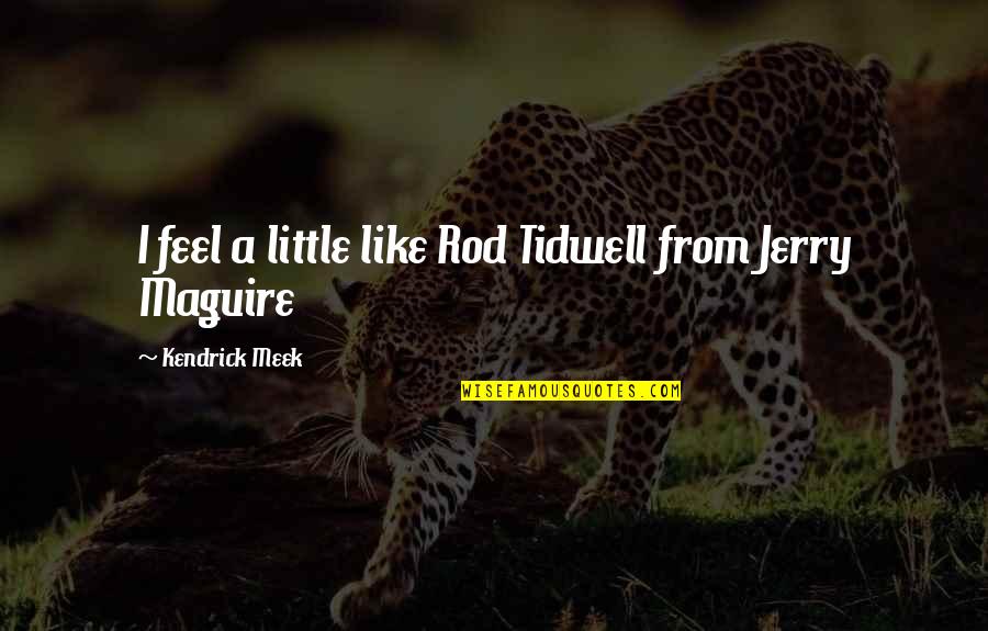 Maaden Webmail Quotes By Kendrick Meek: I feel a little like Rod Tidwell from Maaden Webmail Quotes By Kendrick Meek: I feel a little like Rod Tidwell from