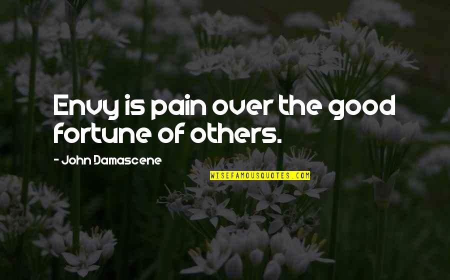 Maailm Quotes By John Damascene: Envy is pain over the good fortune of Maailm Quotes By John Damascene: Envy is pain over the good fortune of