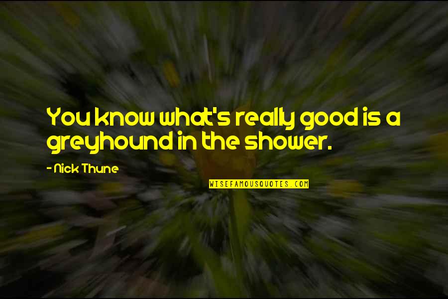 Maarouf Cleaning Quotes By Nick Thune: You know what's really good is a greyhound
