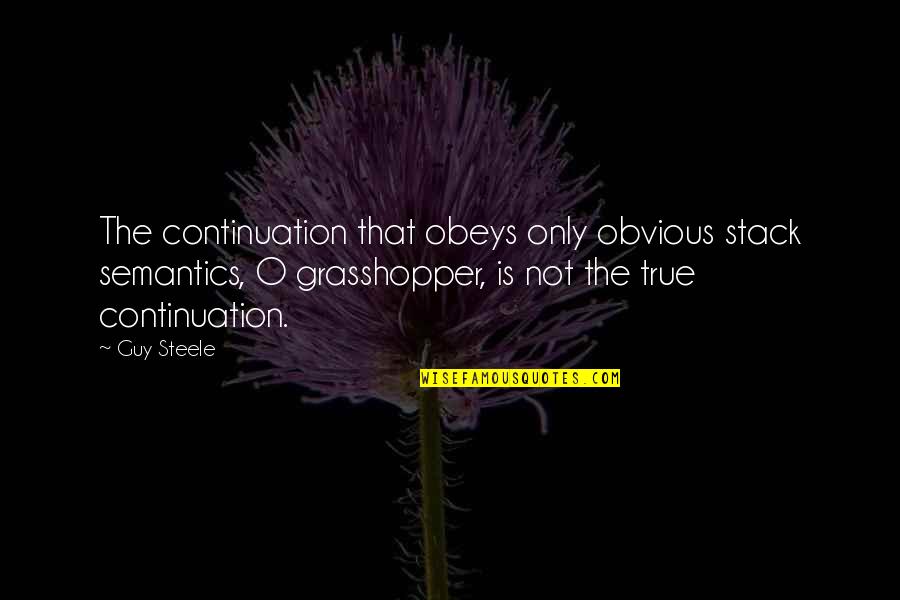 Maati Quotes By Guy Steele: The continuation that obeys only obvious stack semantics,