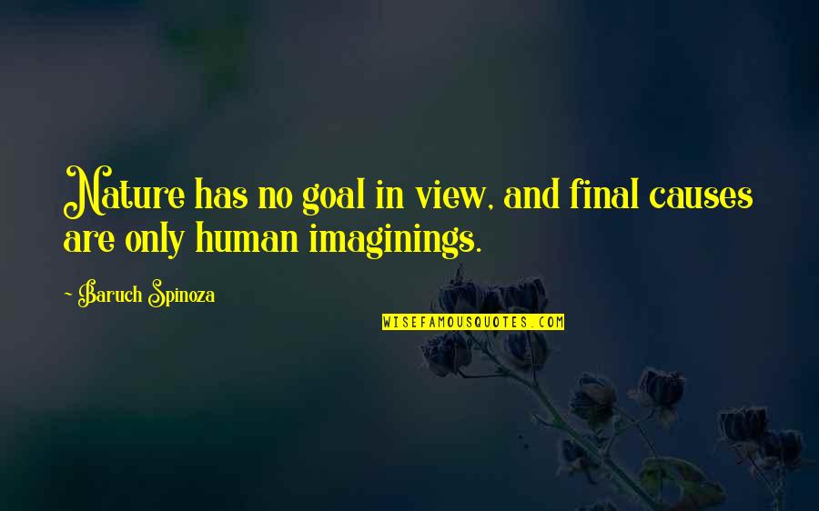 Maayan Midwest Quotes By Baruch Spinoza: Nature has no goal in view, and final