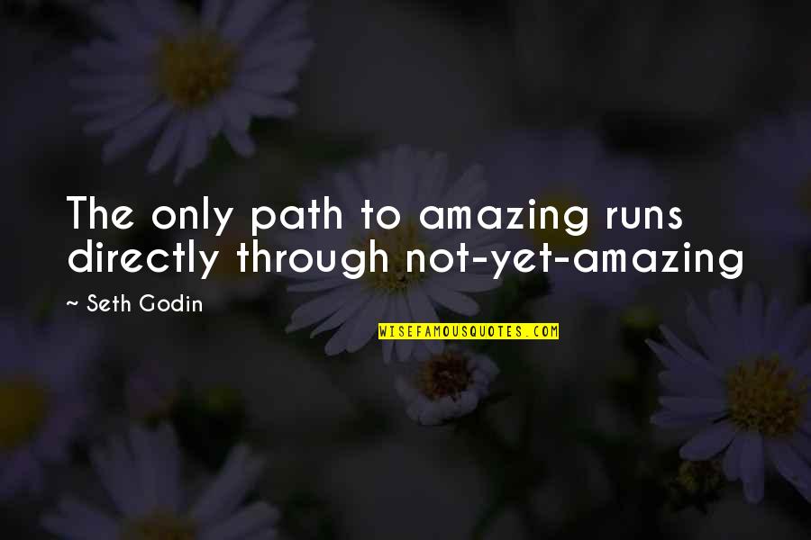 Mabuya Guaporicola Quotes By Seth Godin: The only path to amazing runs directly through