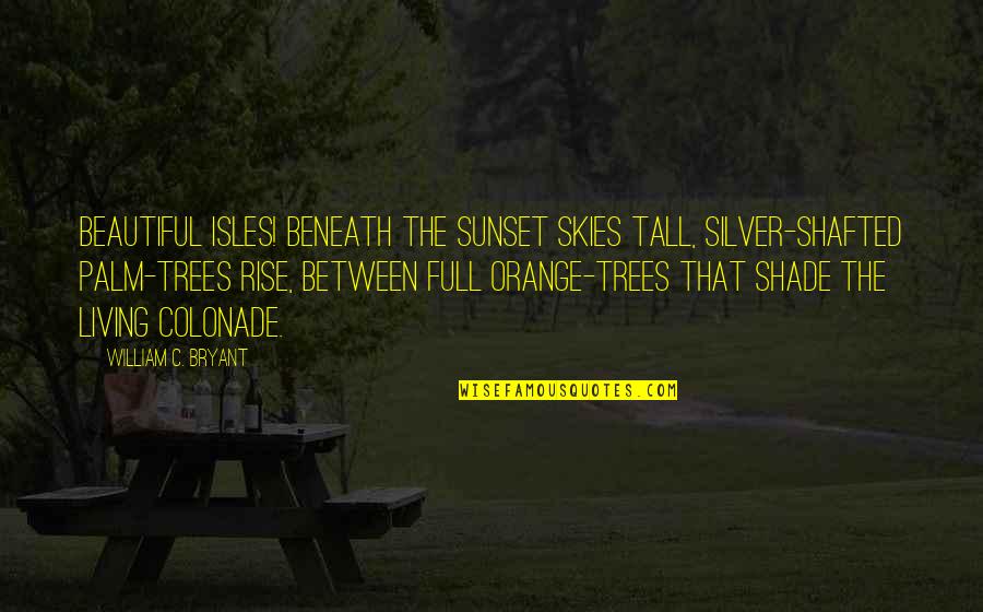 Mac Miller Circles Quotes By William C. Bryant: Beautiful isles! beneath the sunset skies tall, silver-shafted