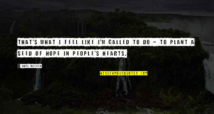 Macapagal Avenue Quotes By Joel Osteen: That's what I feel like I'm called to