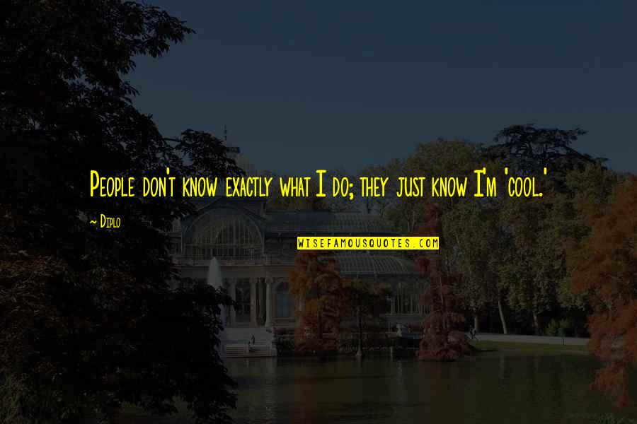 Macasa Guamuchil Quotes By Diplo: People don't know exactly what I do; they