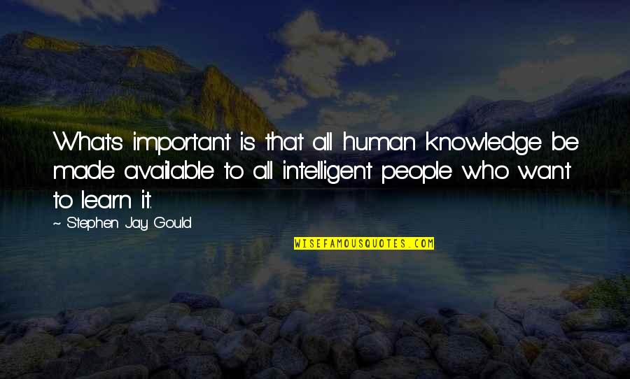 Macbeth Look Like The Innocent Flower Quotes By Stephen Jay Gould: What's important is that all human knowledge be Macbeth Look Like The Innocent Flower Quotes By Stephen Jay Gould: What's important is that all human knowledge be