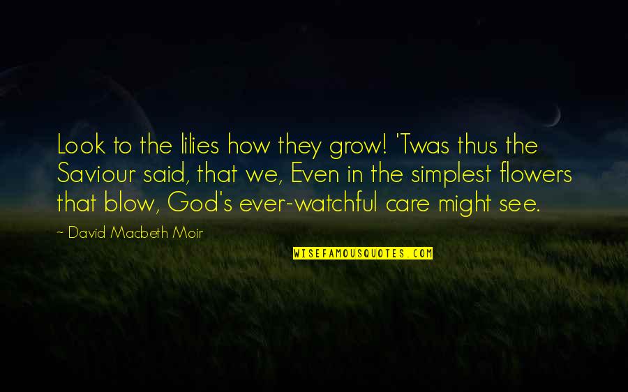 Macbeth Macbeth Quotes By David Macbeth Moir: Look to the lilies how they grow! 'Twas Macbeth Macbeth Quotes By David Macbeth Moir: Look to the lilies how they grow! 'Twas