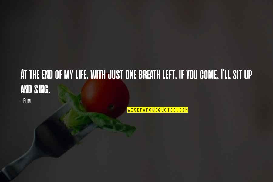 Maccabeus Means Quotes By Rumi: At the end of my life, with just