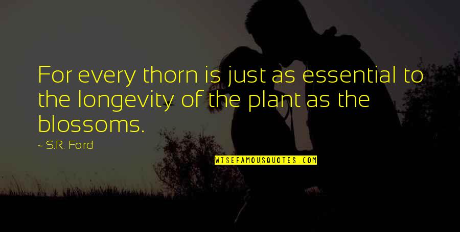 Maccini Quotes By S.R. Ford: For every thorn is just as essential to