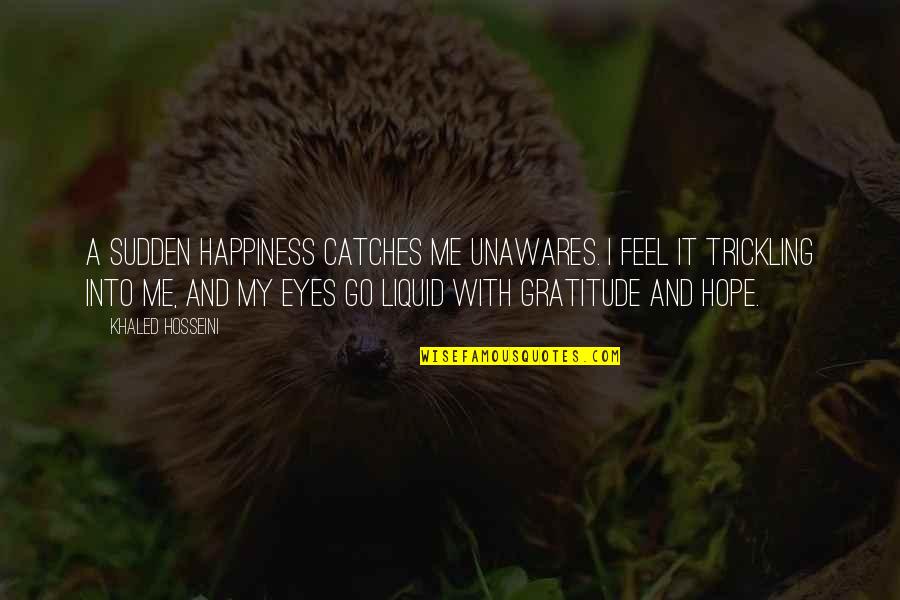 Macelli And Blanchard Quotes By Khaled Hosseini: A sudden happiness catches me unawares. I feel Macelli And Blanchard Quotes By Khaled Hosseini: A sudden happiness catches me unawares. I feel