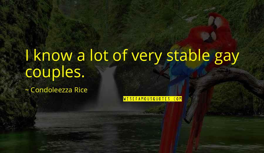 Macelli Gray Quotes By Condoleezza Rice: I know a lot of very stable gay