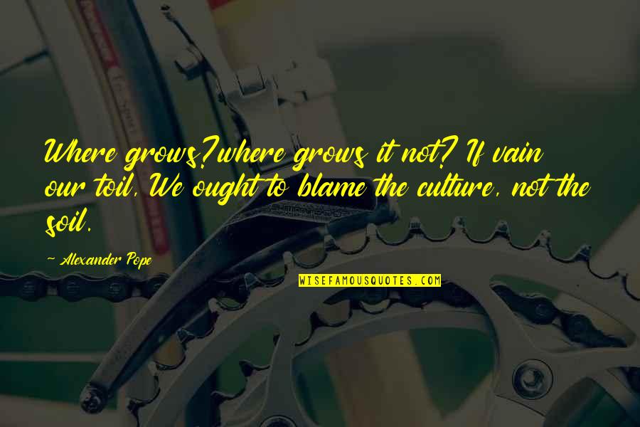 Macerating Quotes By Alexander Pope: Where grows?where grows it not? If vain our Macerating Quotes By Alexander Pope: Where grows?where grows it not? If vain our