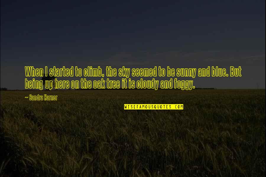 Macguffin Films Quotes By Sandra Harner: When I started to climb, the sky seemed Macguffin Films Quotes By Sandra Harner: When I started to climb, the sky seemed