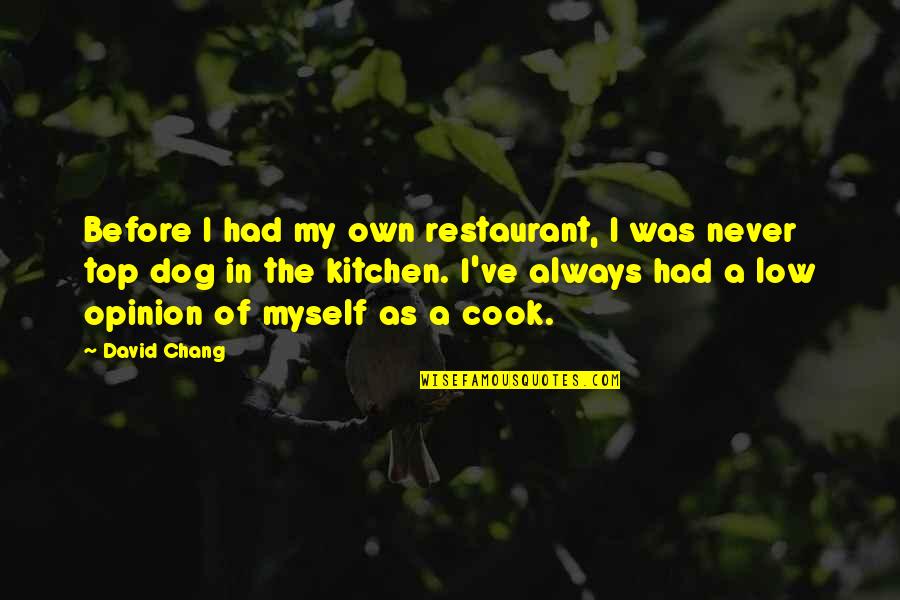 Machairodus Quotes By David Chang: Before I had my own restaurant, I was