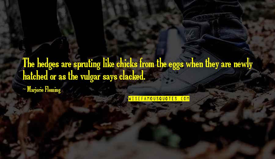Machavaram Quotes By Marjorie Fleming: The hedges are spruting like chicks from the