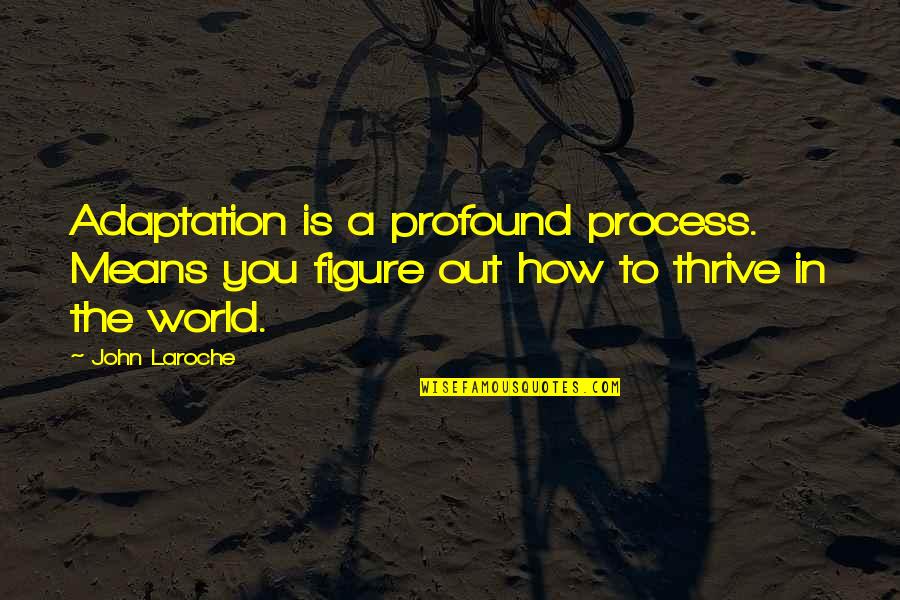 Machiavellismus Quotes By John Laroche: Adaptation is a profound process. Means you figure