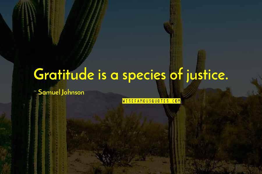 Mackee Quotes By Samuel Johnson: Gratitude is a species of justice.