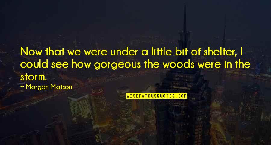 Mackellar's Quotes By Morgan Matson: Now that we were under a little bit