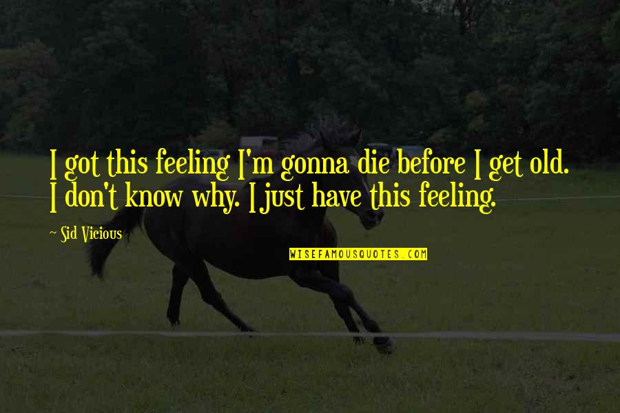 Mackenbach Germany Quotes By Sid Vicious: I got this feeling I'm gonna die before