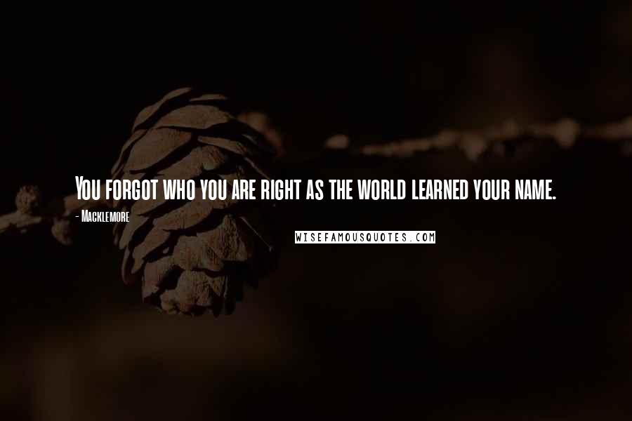 Macklemore quotes: You forgot who you are right as the world learned your name.