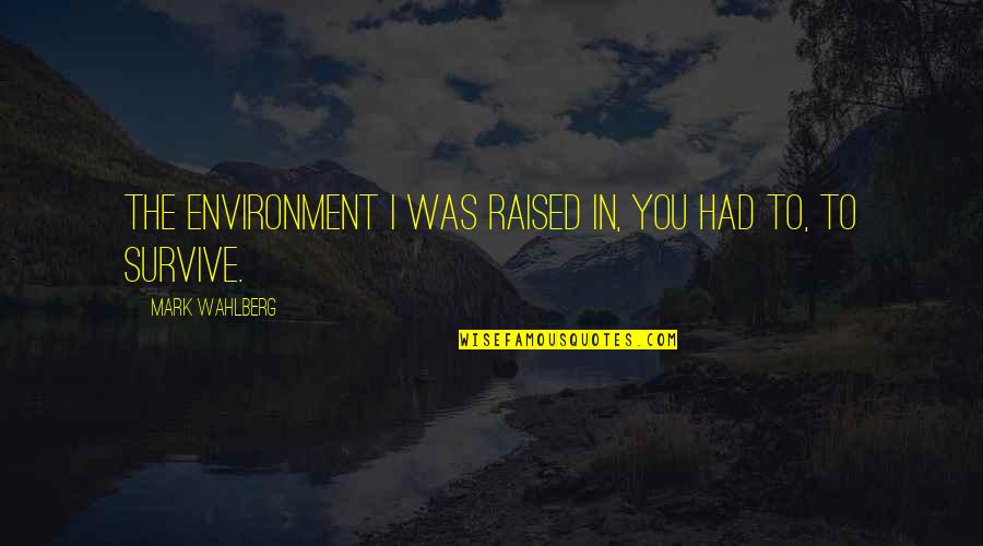 Mackrell Quotes By Mark Wahlberg: The environment I was raised in, you had Mackrell Quotes By Mark Wahlberg: The environment I was raised in, you had