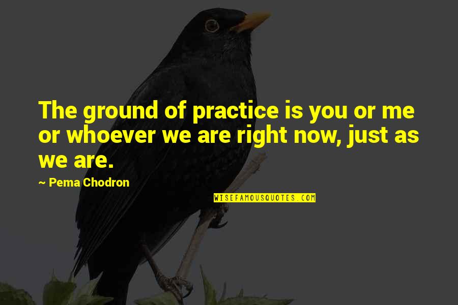 Macro Photography Quotes By Pema Chodron: The ground of practice is you or me