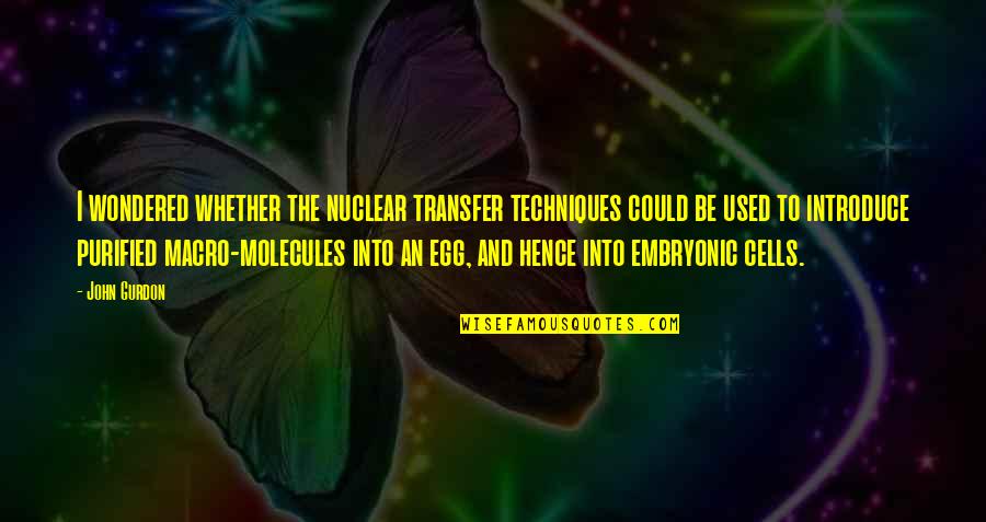 Macro Quotes By John Gurdon: I wondered whether the nuclear transfer techniques could