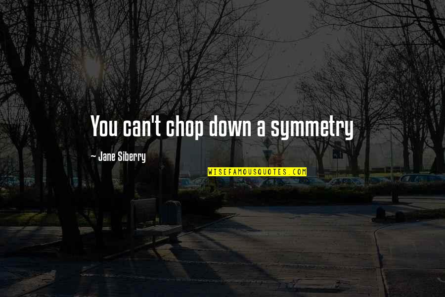 Macroscopic Hematuria Quotes By Jane Siberry: You can't chop down a symmetry