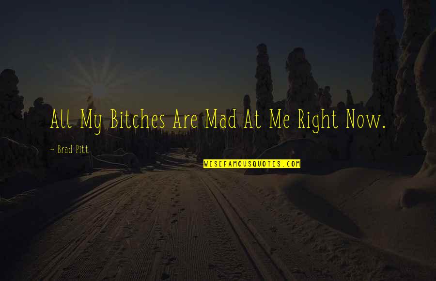 Mad At Me Quotes By Brad Pitt: All My Bitches Are Mad At Me Right Mad At Me Quotes By Brad Pitt: All My Bitches Are Mad At Me Right