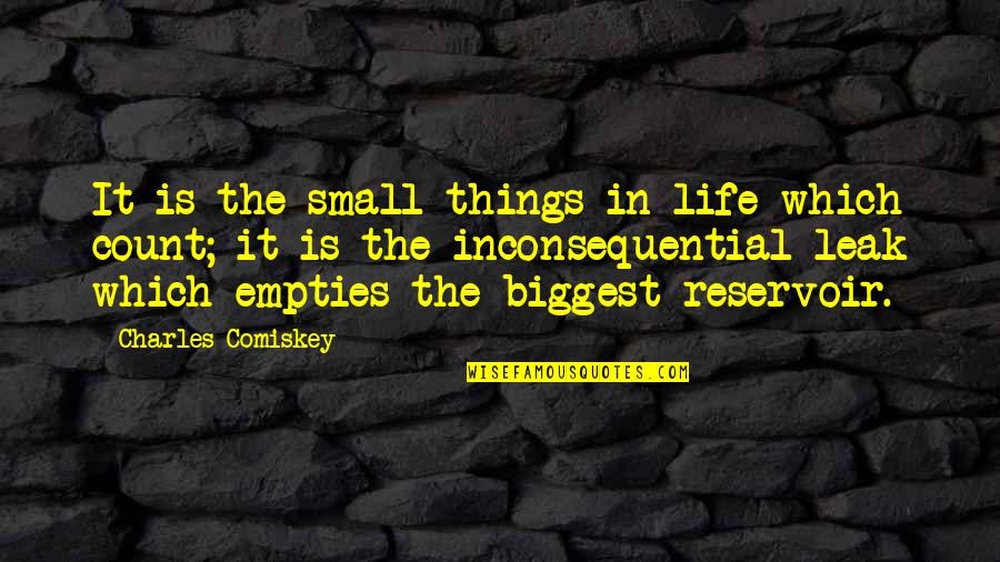 Mad Dog 20/20 Quotes By Charles Comiskey: It is the small things in life which