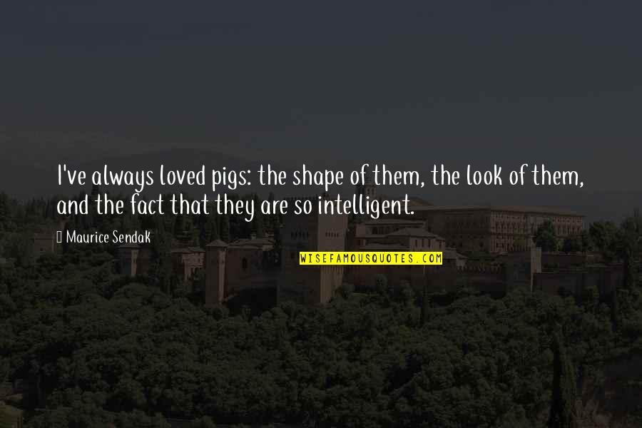 Mad Lovers Quotes By Maurice Sendak: I've always loved pigs: the shape of them, Mad Lovers Quotes By Maurice Sendak: I've always loved pigs: the shape of them,